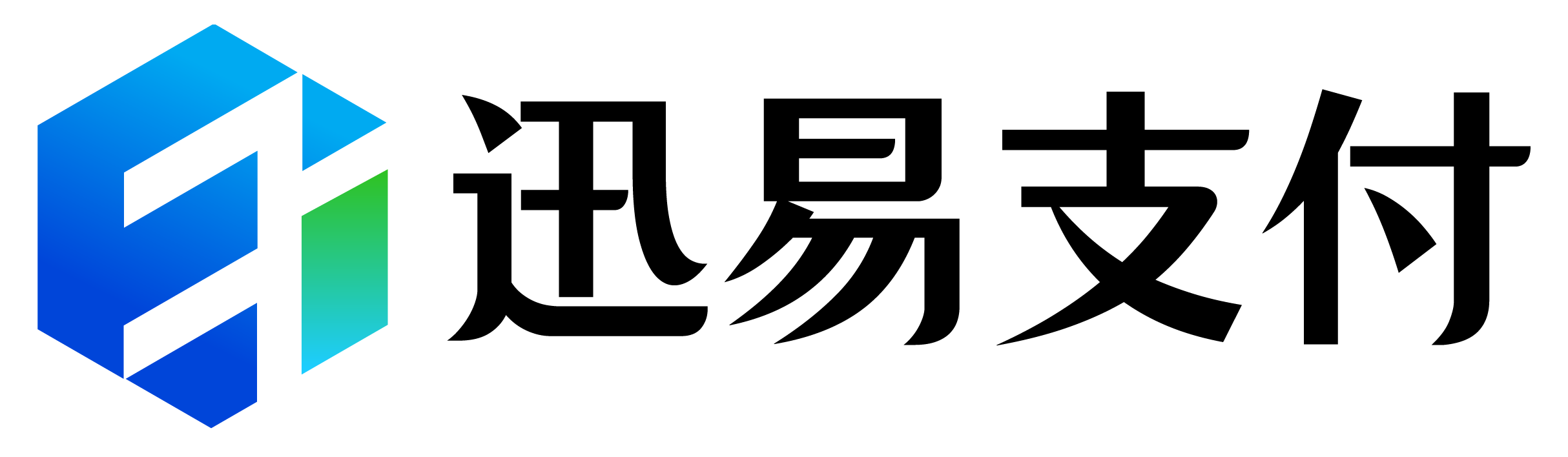 迅易网络支付logo